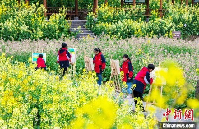 重庆：油菜花竞相开放踏青写生正当时