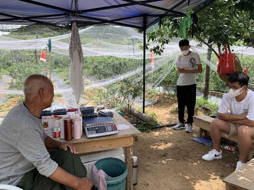 山管学子三下乡：志愿走进乡村，助力乡村发展 