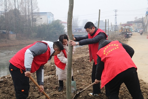 年年植树树成荫,代代造林林成森——新野县上港乡开展义务植树活动 