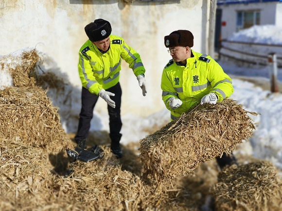 民警帮助孤寡老人拉运草料.jpg