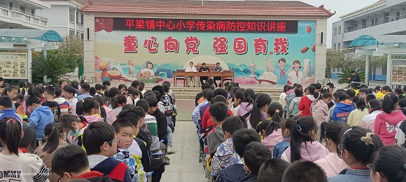 陕西汉阴县平梁镇中心小学开展食品安全及传染病知识讲座