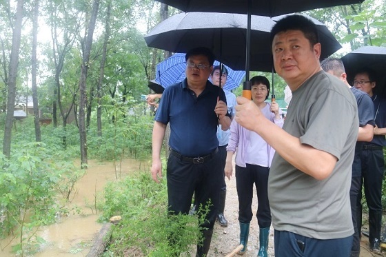 乡党委书记戈阳波现场指挥。崔国安摄.jpg