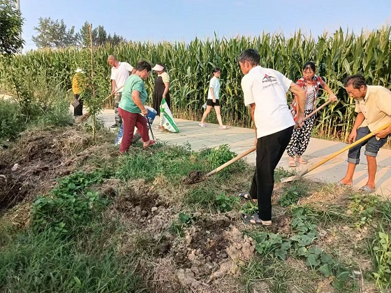 推进人居环境整治.jpg