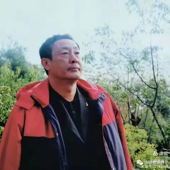 米金生书法艺术作品赏析 