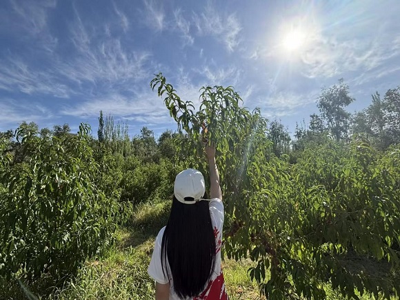 1754361508536224.jpg 2.jpg