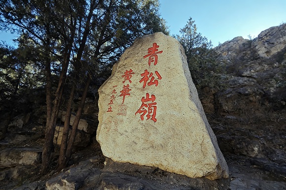 青松常青 大道向前：新时代青松岭精神的传承与绽放 