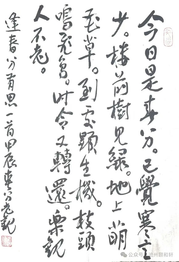 1782712254101854.jpg 12.jpg
